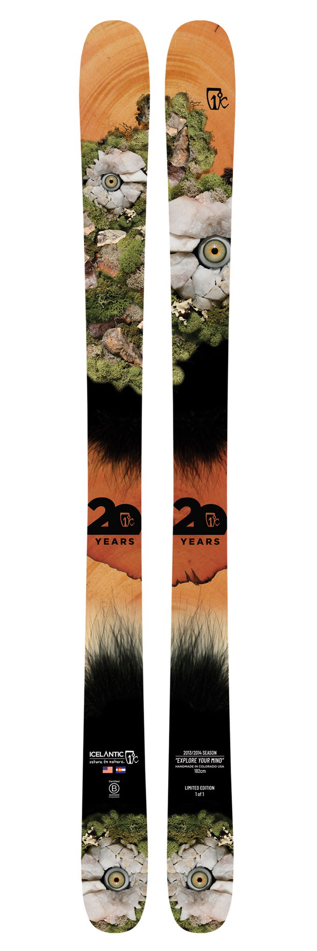 The Icelantic 20 Yr 13/14 Nomad 106 all-mountain skis showcase a surreal graphic with rocks, green moss, and a single yellow eye on each ski against an orange and black background. The design also includes "20 YEARS" text and the 17c logo.