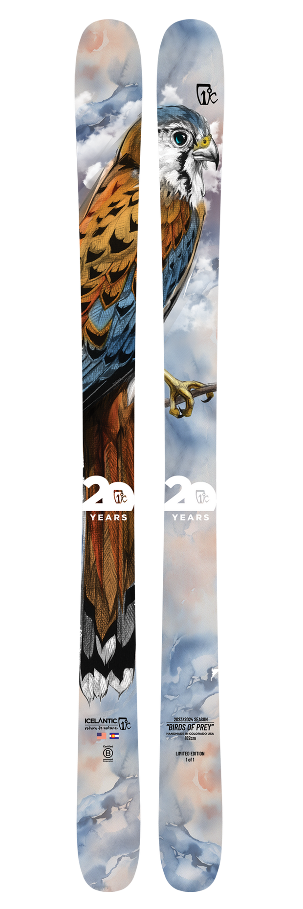 A pair of Icelantic 20 Yr 23/24 Nomad 106 all-mountain skis featuring a detailed illustration of a bird of prey—characterized by brown feathers, a white head, and a sharp beak—set against a cloudy sky backdrop. The design proudly showcases "20 years" and prominent Icelantic brand logos.