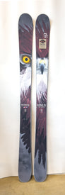 A pair of Icelantic Demo - 23/24 Nomad 115 big mountain freeride skis, handmade in Colorado, featuring a detailed graphic of an eagle’s face and feathers with a striking yellow eye and white and maroon plumage set against a white background.