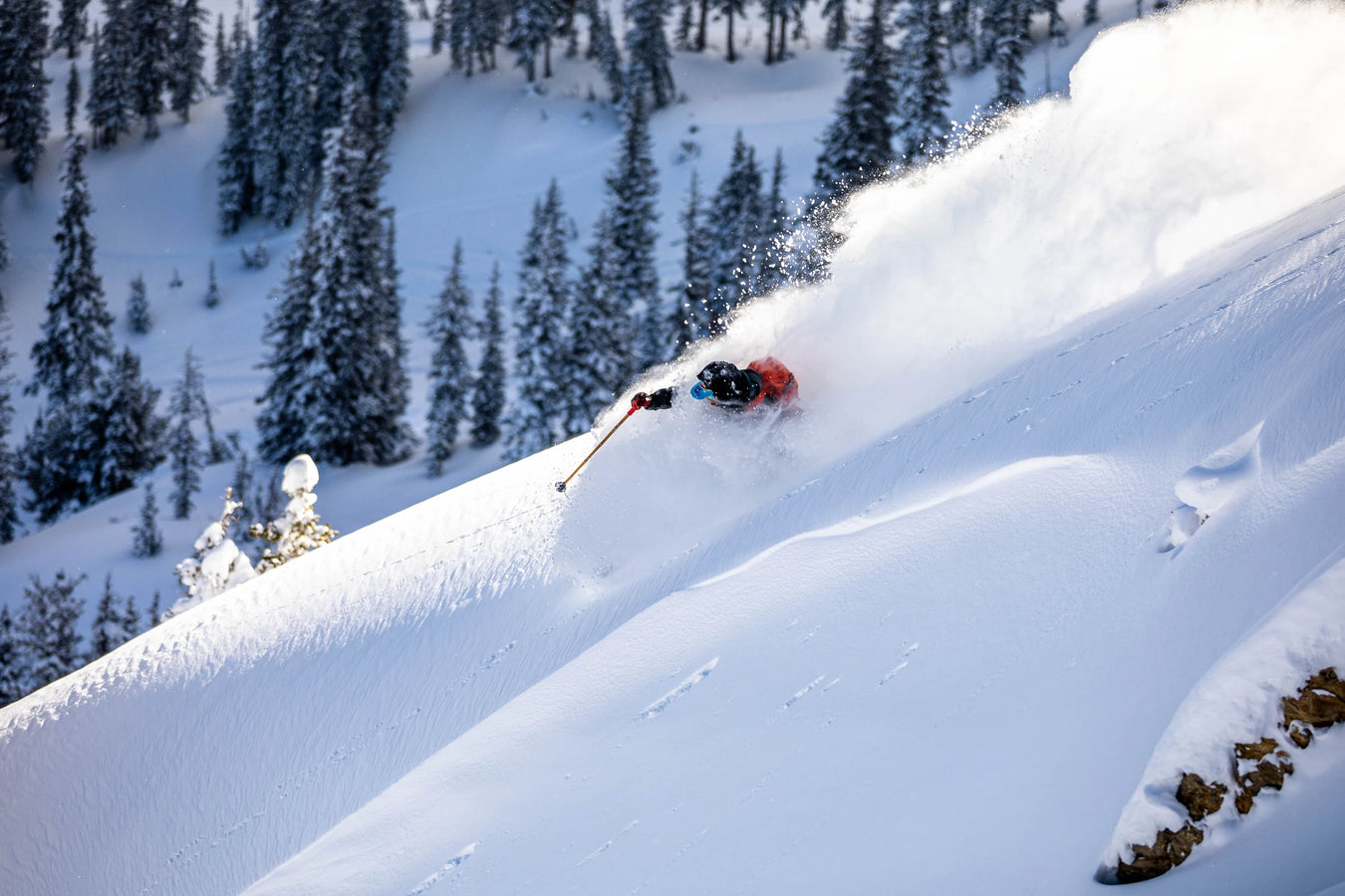 A skier on Icelantic Skis’ Nomad 106 carves through deep powder on a steep snowy slope, surrounded by snow-covered pine trees under bright sunlight.