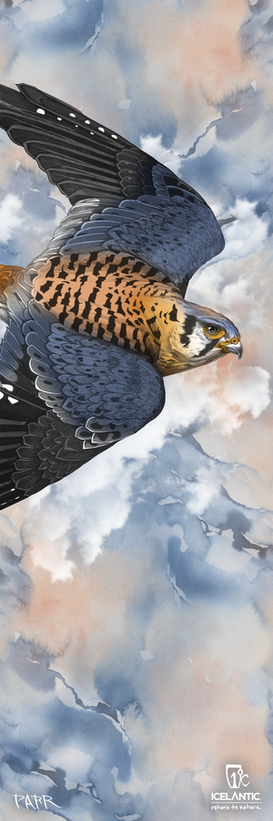 Experience the 23/24 Maiden 101 Fine Art Print by Icelantic—a captivating depiction of a falcon soaring amid a cloudy sky, featuring blue, gray, and peach hues in the backdrop. The falcon’s outstretched wings showcase detailed black, brown, and white feathers. Available as either a premium giclee print or wrapped canvas, this exquisite artwork brings the majesty of nature into your space.