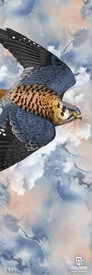 Experience the 23/24 Maiden 101 Fine Art Print by Icelantic—a captivating depiction of a falcon soaring amid a cloudy sky, featuring blue, gray, and peach hues in the backdrop. The falcon’s outstretched wings showcase detailed black, brown, and white feathers. Available as either a premium giclee print or wrapped canvas, this exquisite artwork brings the majesty of nature into your space.