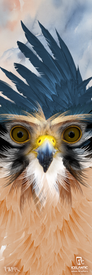 Experience the 23/24 Maiden 111 Fine Art Print by Icelantic—a striking digital illustration of a hawk with piercing yellow eyes and a distinctive blue-feathered crest, set against a serene, cloud-filled background. Available as wrapped canvas or fine art prints, this artwork features the Icelantic logo in the bottom right corner and the FAITH logo in the lower left.