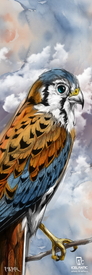 Experience the beauty of the American kestrel with the 23/24 Maiden 91 Fine Art Print by Icelantic. This detailed illustration features a kestrel perched on a branch against a cloudy sky, showcasing its striking brown, black, and white plumage. Perfect for collectors and enthusiasts, this fine art print includes the Icelantic logo in the bottom right corner.