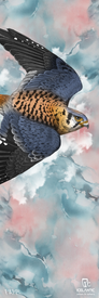 Experience the 23/24 Maiden Lite Fine Art Print from Icelantic, featuring an illustration of a falcon soaring with wings spread wide against a backdrop of blue and pink-hued clouds. The bird displays detailed brown, black, and blue feathers, with "FAITH" and the Icelantic logo in the corner. Available as a fine art print or wrapped canvas giclée for a stunning display.