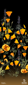 Tall, vibrant orange poppies and slender purple flowers with delicate green leaves on a black background are beautifully rendered in the striking 23/24 Nia Pro 105 Fine Art Print by Icelantic; both the “Icelantic” brand name and a signature appear at the bottom.