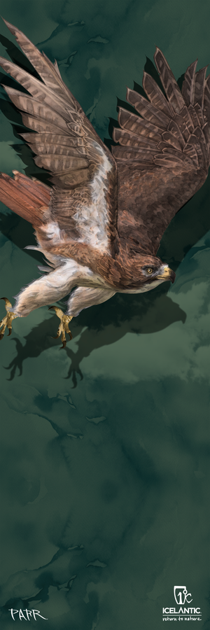 Certainly! Here is the rewritten sentence using your product data: This striking image, titled "23/24 Nomad 105 Fine Art Print" by Icelantic, features a brown hawk with outstretched wings soaring over a green, marbled background. Captured in mid-flight with sharp talons visible, this artwork is available as a premium giclee print or wrapped canvas for fine art display. Both the Icelantic and artist logos appear in the bottom right corner.