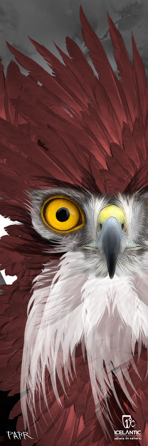 Experience the power of Icelantic’s "23/24 Nomad 115 Fine Art Print"—a digital painting featuring a striking red and white bird with piercing yellow eyes, a sharp gray beak, and dramatic feathers against a stormy gray sky. Icelantic branding and the artist’s logos enhance each corner, making this fine art print or wrapped canvas a bold statement piece for any space.