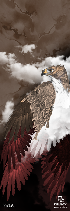 Experience the 23/24 Nomad 95 Fine Art Print by Icelantic—an exquisite depiction of an osprey with brown, white, and reddish feathers set against a cloudy sky. The bird’s head is turned to the right, and both the Icelantic name and artist’s signature appear at the bottom. Available as fine art prints or wrapped canvas, this piece adds stunning artistry to any collection.