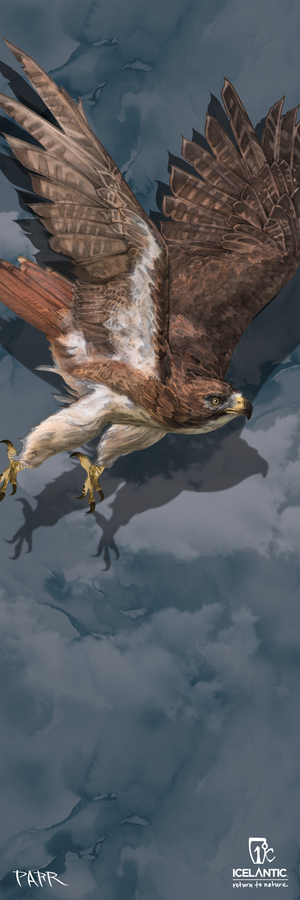 Experience the striking "23/24 Nomad Lite Fine Art Print" by Icelantic—an illustration of a brown hawk soaring with outstretched wings against a cloudy blue sky, complete with the artist's signature and the Icelantic logo at the bottom right. This piece is ideal for fine art prints or giclée prints on wrapped canvas.