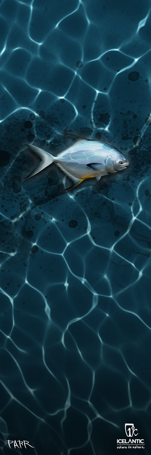 A silver fish glides upside down through crystal-clear blue water, sunlight casting wavy patterns across the surface. Logos and text from Icelantic appear in the bottom right corner. Available as a stunning 23/24 Shaman 2.0 110 Fine Art Print or wrapped canvas, this piece brings underwater tranquility to your fine art collection.