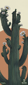 Illustration of a tall green cactus with white flowers blooming on its arms, set against a beige and brown background. Available as the 24/25 Maiden 102 Fine Art Print by Icelantic Skis, this artwork features the FAHR and ICELANTIC Return To Nature logos at the bottom.