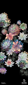 Vibrant succulent plants in soft pastel tones are artfully arranged on a black background, resulting in a bold composition perfect for the 24/25 Nia Pro 105 Fine Art Print by Icelantic Skis. The design features the FAHR and Icelantic - Return to Nature logos in the lower right corner.