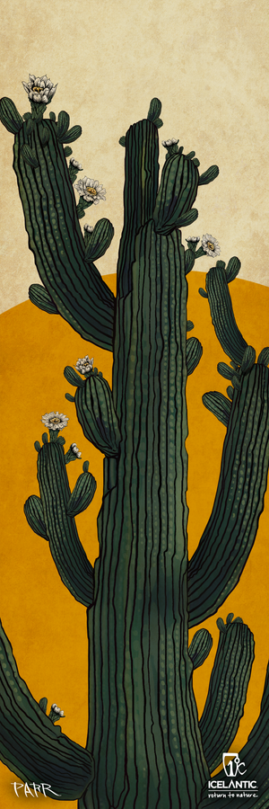 The 24/25 Nomad 106 Fine Art Print from Icelantic Skis features an illustration of a tall green cactus with multiple arms and white flowers, set against a textured yellow and beige background. The print is available as a giclee, with the artist and Icelantic logos displayed at the bottom.