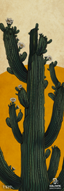 The 24/25 Nomad 106 Fine Art Print from Icelantic Skis features an illustration of a tall green cactus with multiple arms and white flowers, set against a textured yellow and beige background. The print is available as a giclee, with the artist and Icelantic logos displayed at the bottom.