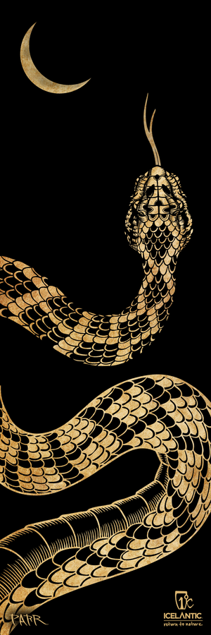 A stylized gold snake with intricate scales appears on a black background, its head raised and tongue out beneath a crescent moon. The Icelantic Skis logo and "Return to Nature" are displayed in the bottom right corner. This artwork is available as the 24/25 Nomad 94 Fine Art Print by Icelantic Skis, offered as fine art or giclee prints for an exquisite, gallery-worthy finish.