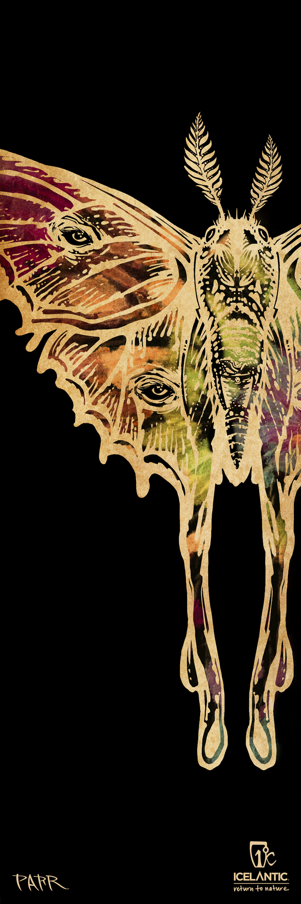 25/26 Maiden 94 Fine Art Print