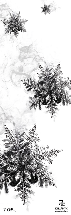 Three large, detailed snowflakes appear in black and white, drifting downward with smoky swirls, while smaller snowflakes linger in the background. At the bottom, “Icelantic Return to Nature” and a signature are featured. The 25/26 Mystic 97 Fine Art Print from Icelantic Skis is available as a giclee art print or wrapped canvas, beautifully capturing this serene moment in stunning fine art quality.
