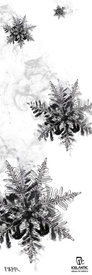 Three large, detailed snowflakes appear in black and white, drifting downward with smoky swirls, while smaller snowflakes linger in the background. At the bottom, “Icelantic Return to Nature” and a signature are featured. The 25/26 Mystic 97 Fine Art Print from Icelantic Skis is available as a giclee art print or wrapped canvas, beautifully capturing this serene moment in stunning fine art quality.