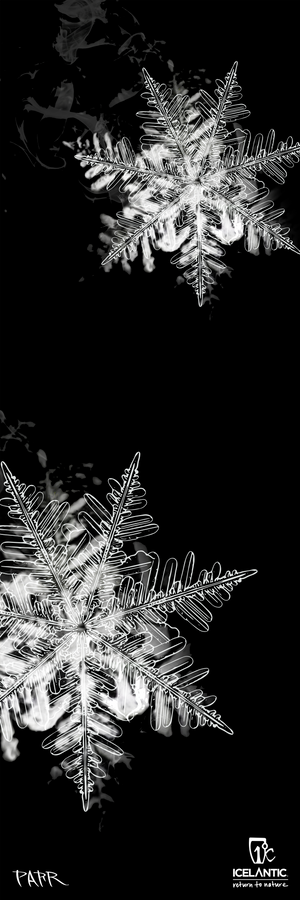 Two intricately detailed white snowflakes appear on a black background in the "25/26 Natural 101 Fine Art Print" by Icelantic Skis. The snowflakes feature delicate patterns with smoky, mist-like effects surrounding them, creating an atmosphere of elegant winter charm. Perfect for fine art or giclee prints on wrapped canvas, this artwork is designed to enhance any space with its sophisticated seasonal beauty. The Icelantic Skis logo and additional text are displayed at the bottom right corner.
