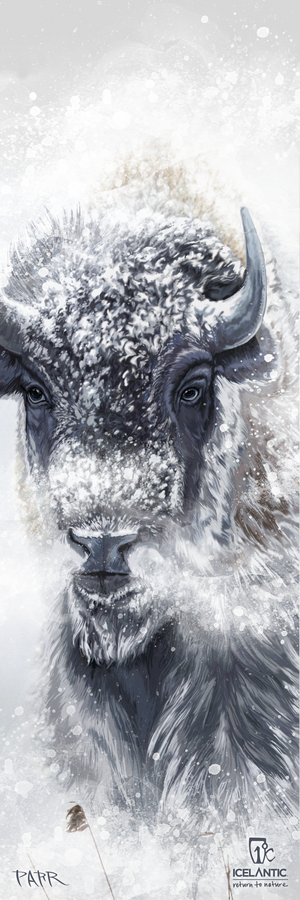 Experience the wintry wilderness with the 25/26 Nomad 112 Fine Art Print by Icelantic Skis. This close-up illustration features a bison covered in snow, with swirling snowflakes blowing across its face, capturing a cold, wintery atmosphere. The artwork, complete with the Icelantic logo in the bottom right corner, is available as a fine art print—perfect for bringing a striking touch of winter to any space.