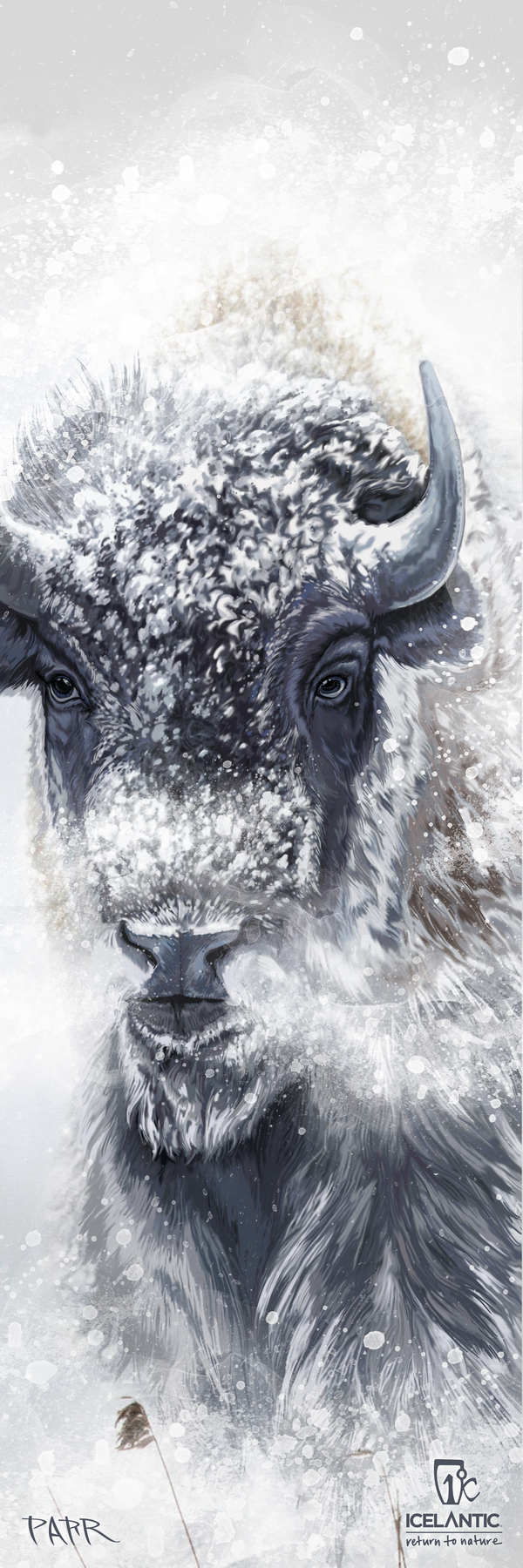 25/26 Nomad 112 Fine Art Print