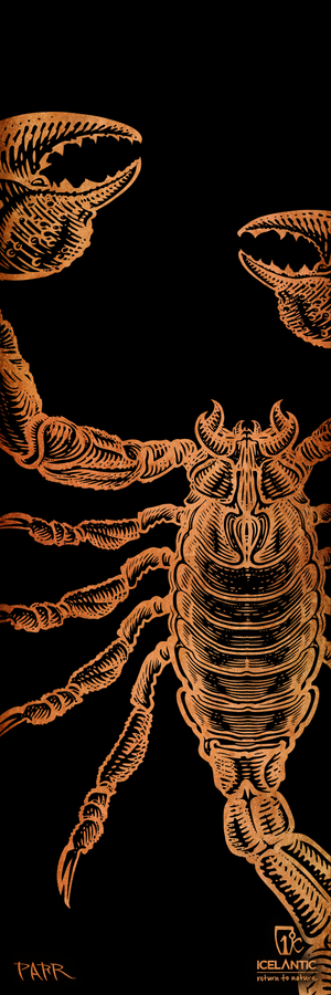 Behold the 25/26 Nomad 94 Fine Art Print by Icelantic Skis, featuring a detailed illustration of an orange scorpion with raised claws on a black background. Intricate lines and textures bring this striking artwork to life, making it ideal for fine art or giclee prints that capture every detail. Logos and text appear in the bottom right corner, while the artist’s signature adorns the bottom left.