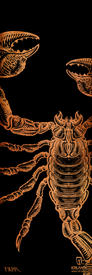 Behold the 25/26 Nomad 94 Fine Art Print by Icelantic Skis, featuring a detailed illustration of an orange scorpion with raised claws on a black background. Intricate lines and textures bring this striking artwork to life, making it ideal for fine art or giclee prints that capture every detail. Logos and text appear in the bottom right corner, while the artist’s signature adorns the bottom left.