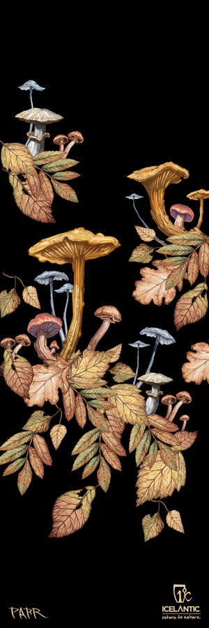 A striking fine art print titled "25/26 Saba Pro 117" by Icelantic Skis displays an artistic arrangement of mushrooms and autumn leaves on a black background, featuring rich gold, brown, and blue hues. Ideal for canvas or gallery prints, the design is finished with the Icelantic logo and artist’s signature at the bottom.