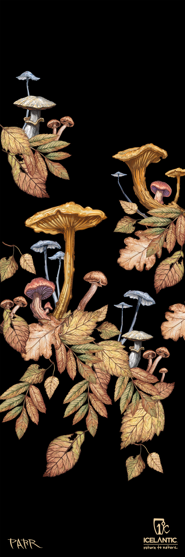 25/26 Saba Pro 117 Fine Art Print