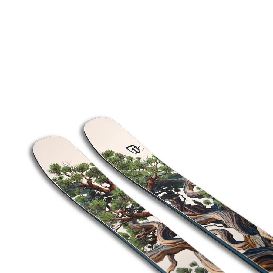 A close-up of two Icelantic Skis Torrent 96 skis showcases a detailed tree branch and pine needle design on a white background, with a small black Icelantic logo near the tips.