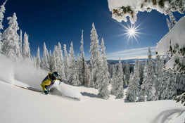 Rider Description (with product data): A skier in a yellow jacket carves through deep powder snow on the Maiden 102 by Icelantic Skis, gliding down a slope surrounded by snow-covered trees under a clear blue sky with the bright sun shining.