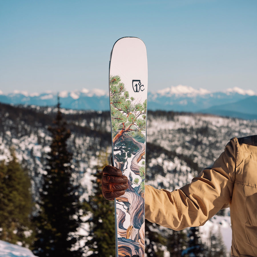 A person in a tan jacket and brown glove holds an Icelantic Skis Torrent 96 all-mountain ski featuring a nature-inspired design, standing amid snow-covered mountains with evergreen trees and distant peaks beneath a clear sky.