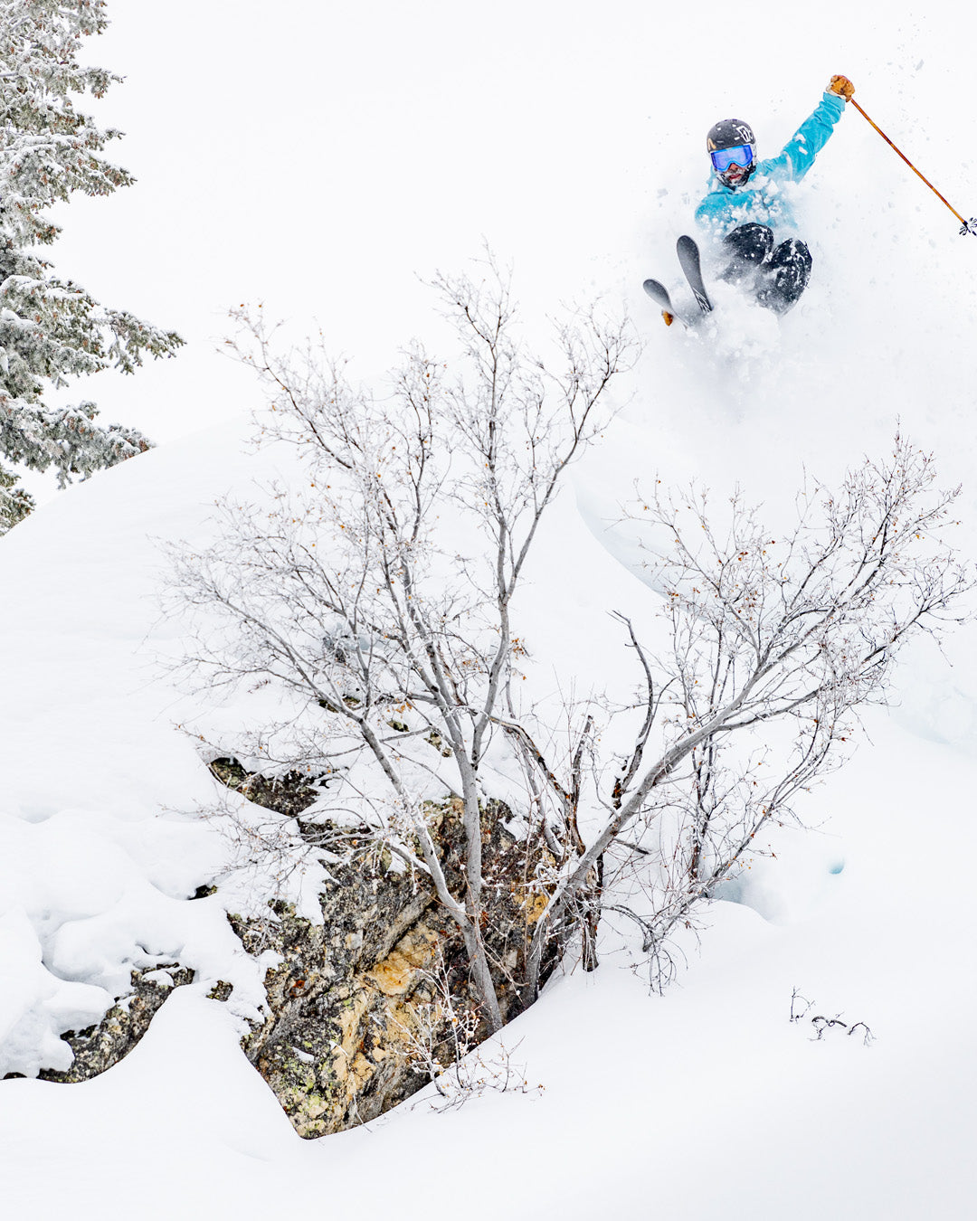 A skier in a blue jacket and helmet jumps off a snowy slope, soaring above a leafless tree, with snow flying around them against a bright, wintry backdrop.
