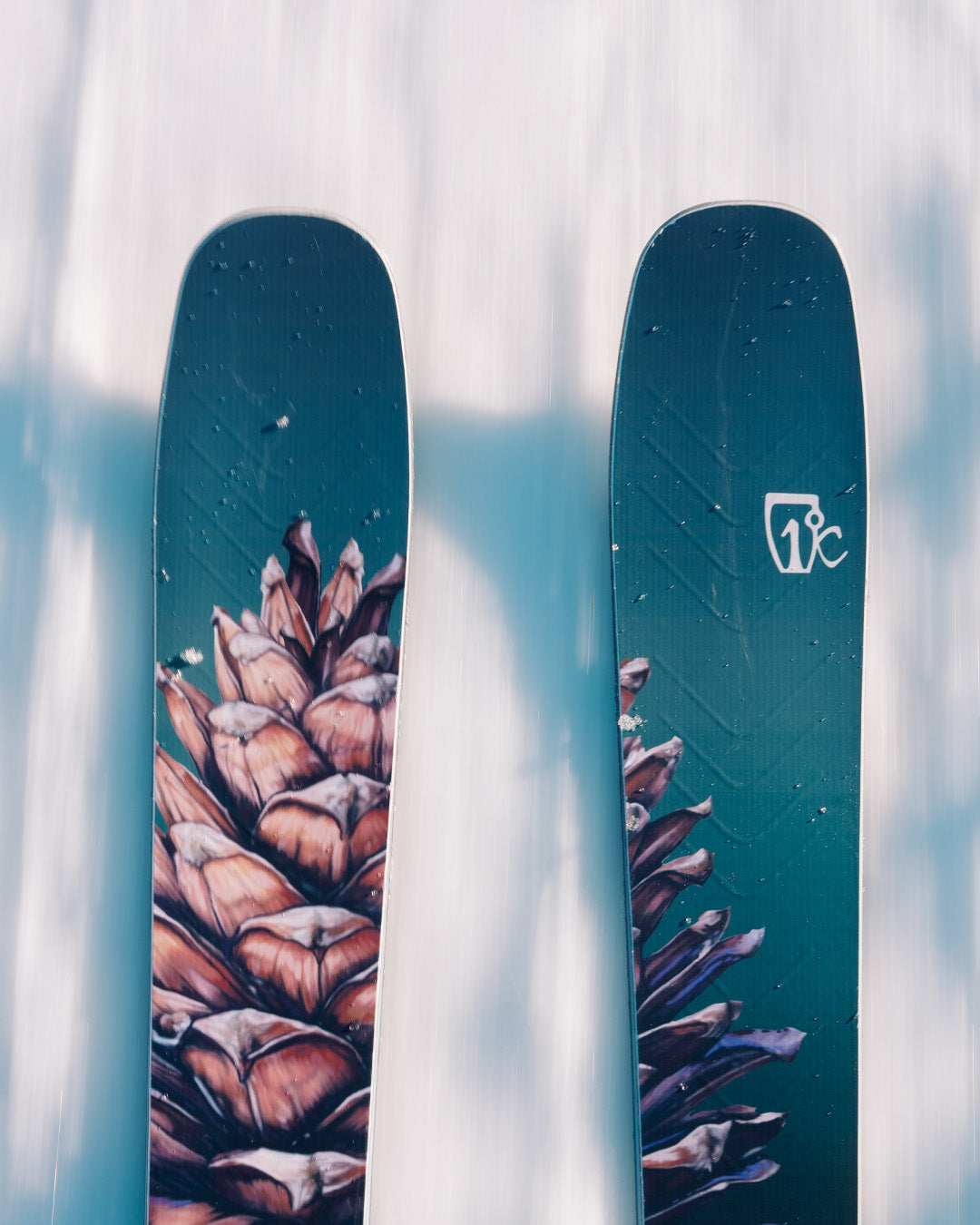 A close-up of two skis with a pine cone design on a snowy surface, viewed from above.