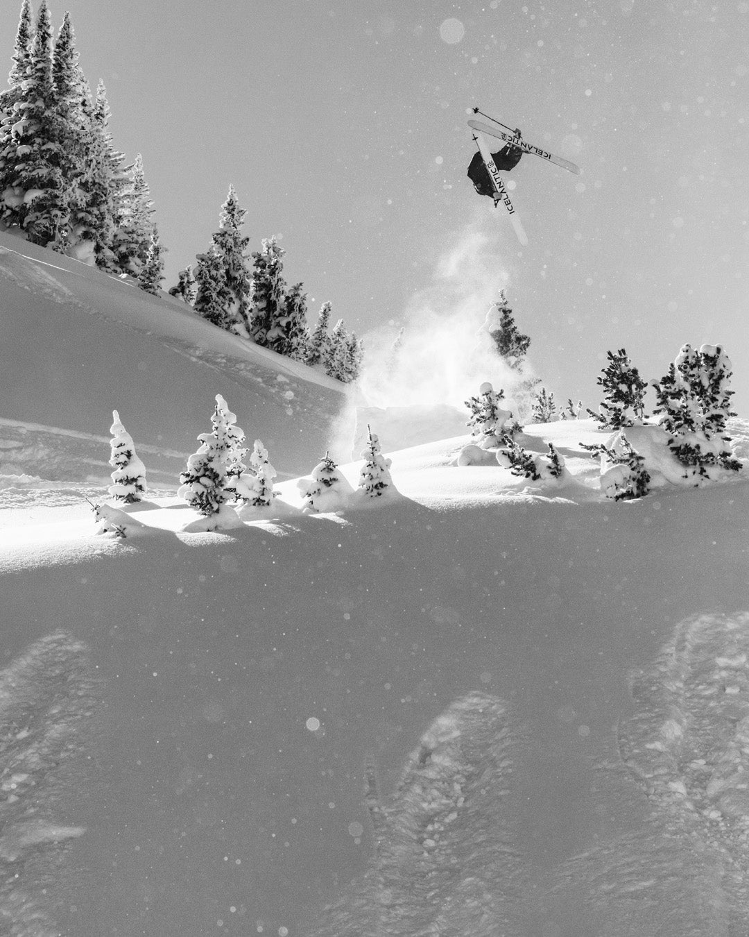 A skier performs a mid-air trick off a snowy slope surrounded by pine trees, with powder flying and sunlight illuminating the winter scene.