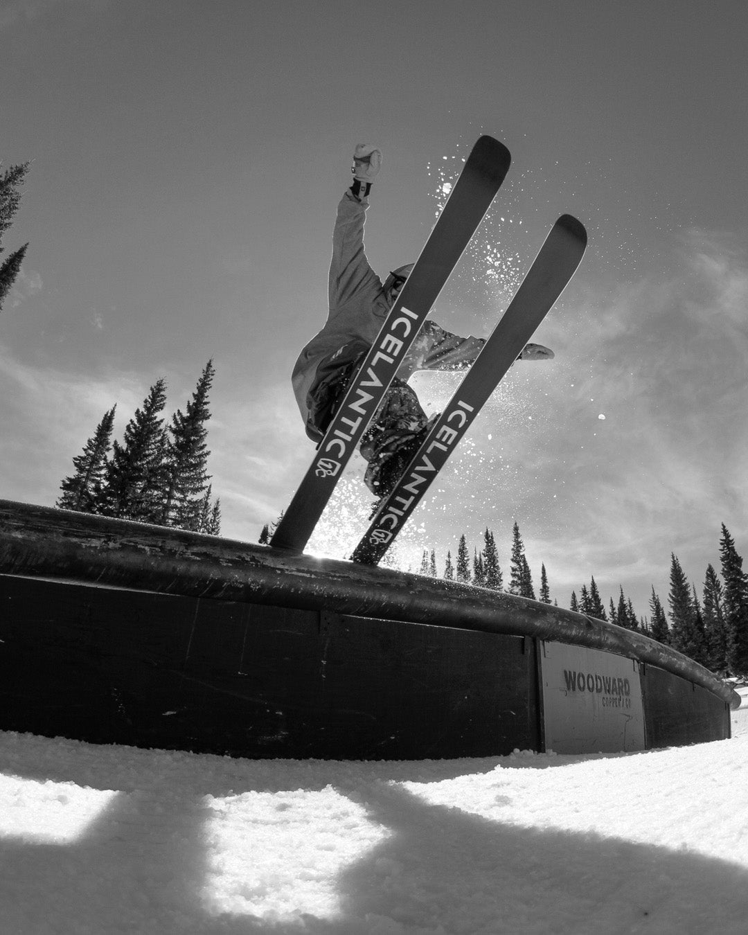 A skier in mid-air, performing a trick on a rail in a snowy, forested terrain park. Snow sprays around as the skier slides across the rail.