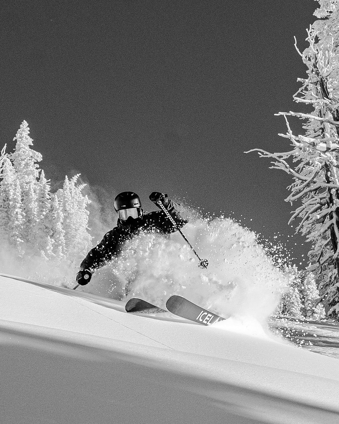 A skier in dark gear carves through fresh snow on a slope, creating a spray of powder, with snow-covered trees in the background under a clear sky.