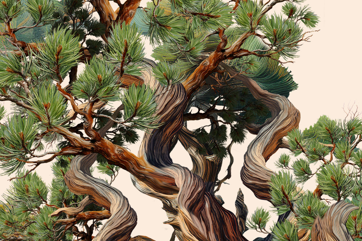 Travis Parr