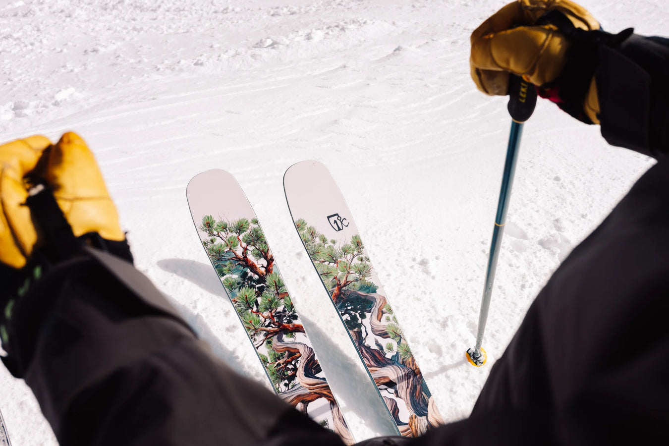 A skier’s view of their Torrent 96 skis by Icelantic Skis on bright, textured snow, holding ski poles while wearing yellow gloves. The skis feature colorful tree artwork.