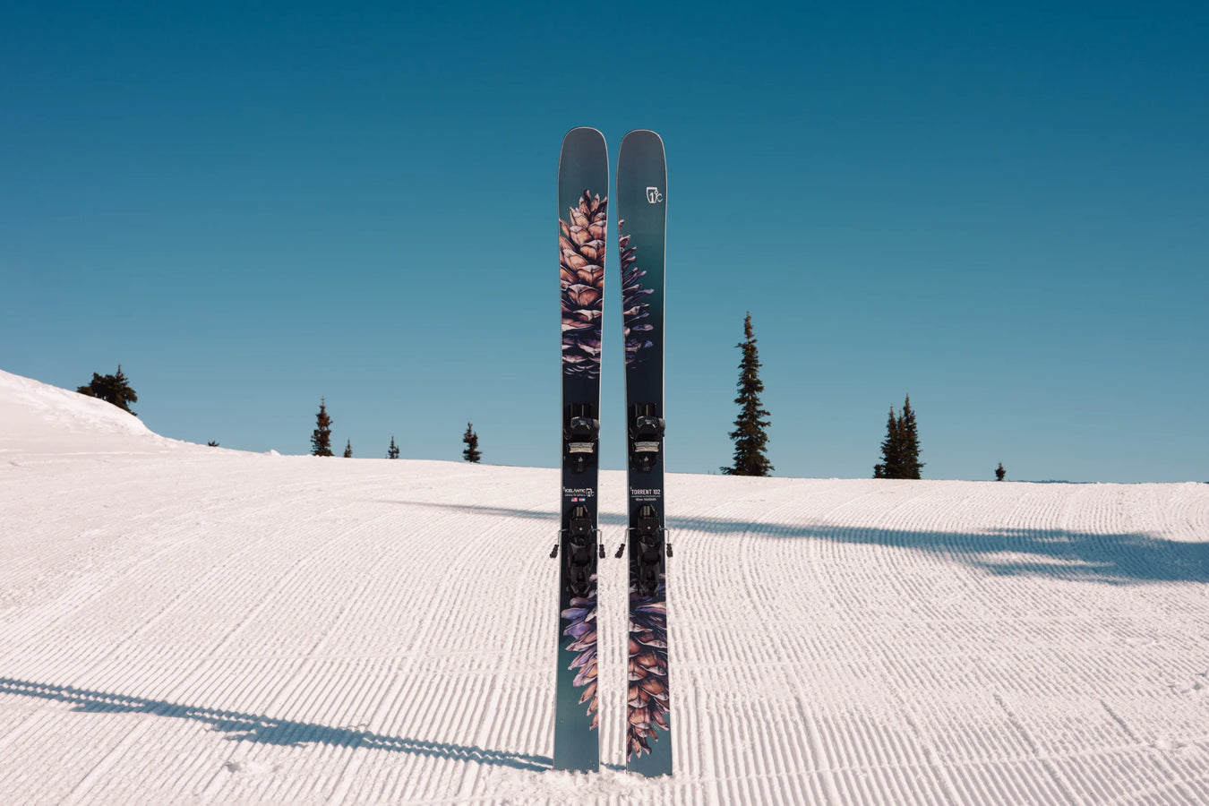 A pair of Icelantic Skis Torrent 102, featuring a distinctive pinecone design, stands upright in the snow on a groomed ski slope, with pine trees and a clear blue sky in the background.