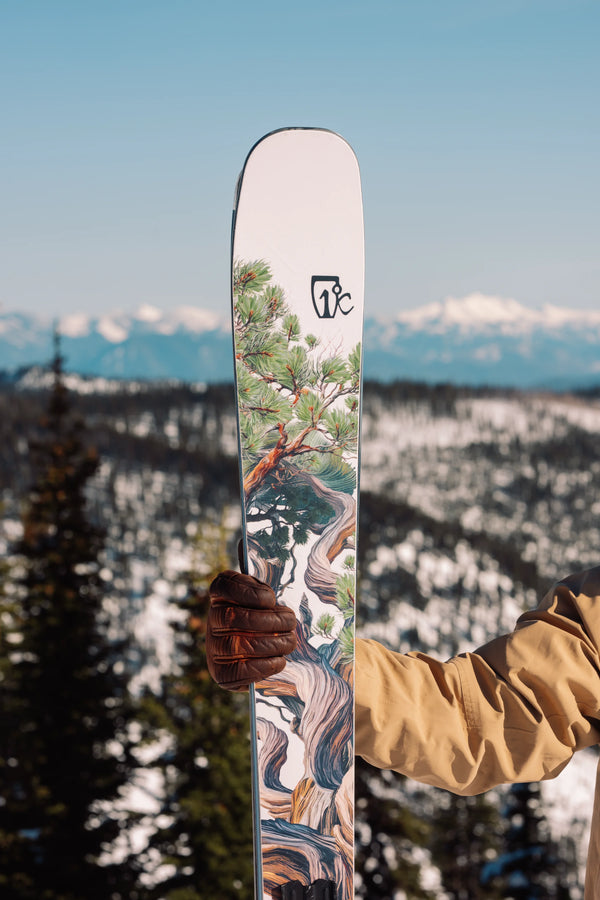 A person in a tan jacket and brown glove holds the Icelantic Skis Torrent 96, which features a colorful nature-themed design; snowy mountains and pine trees are visible in the background under a clear sky.