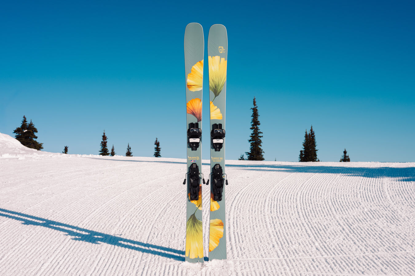 A pair of Icelantic Skis Tempest 100 all-mountain skis with yellow and green flower designs stand upright on a groomed snowy slope, featuring a poplar and birch wood core for stability and responsiveness. In the background, clear blue sky stretches above distant pine trees.
