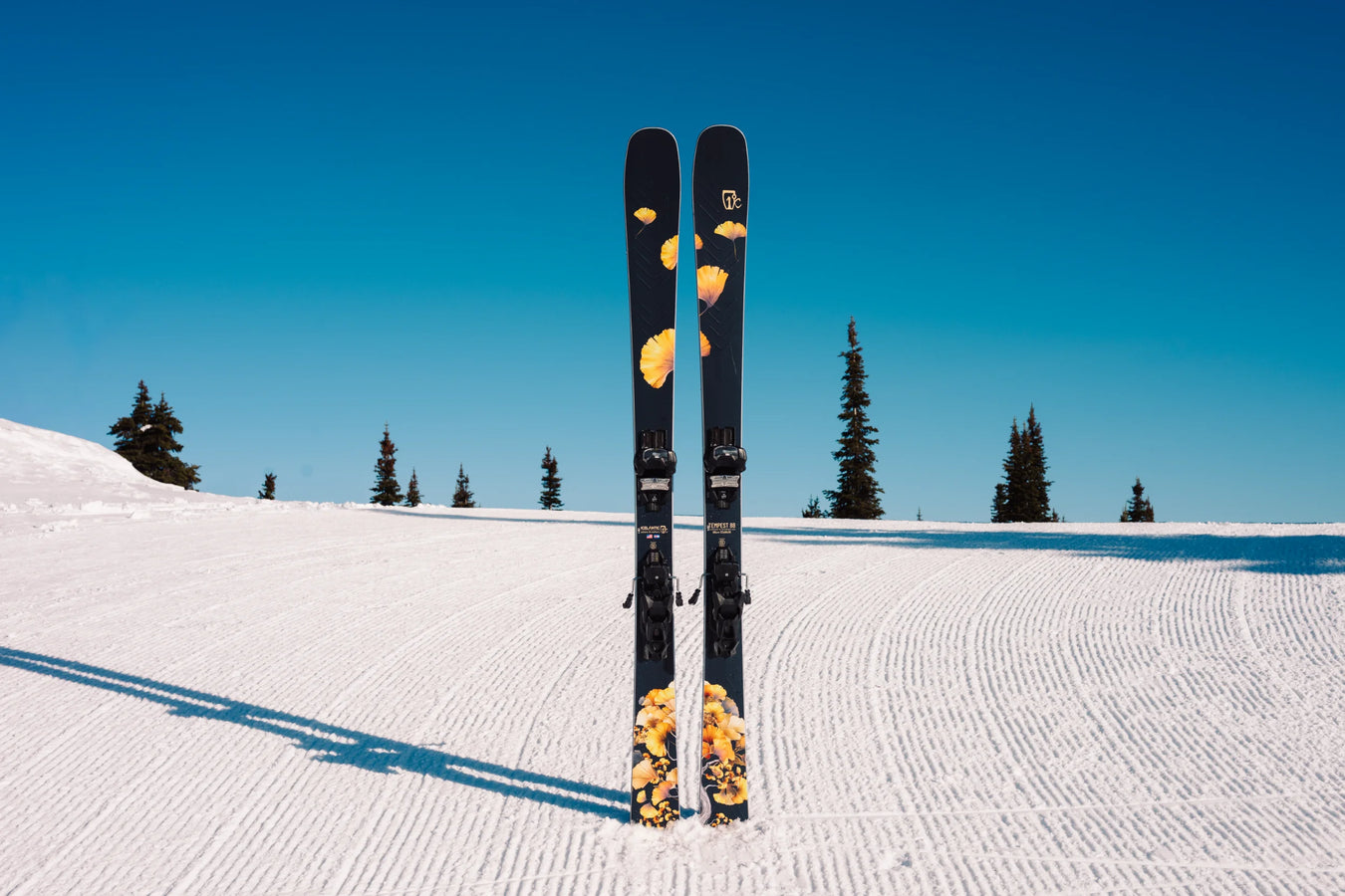 A pair of Icelantic Skis Tempest 88, featuring black topsheets with yellow flower designs, stand upright on a groomed snowy slope beneath a clear blue sky, framed by evergreen trees in the background.