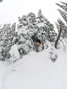 A skier in a yellow jacket launches off a snowy cliff among snow-covered trees, holding their Icelantic Skis Nomad 106 Whiteout mid-air against a cloudy winter sky.