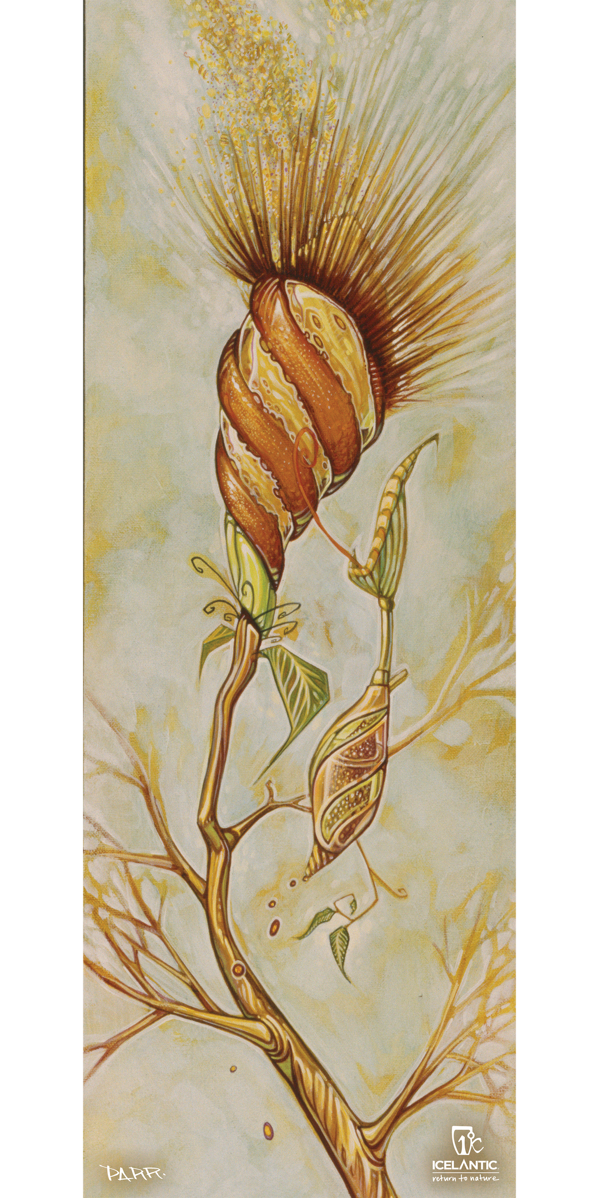07/08 Pilgrim Fine Art Print