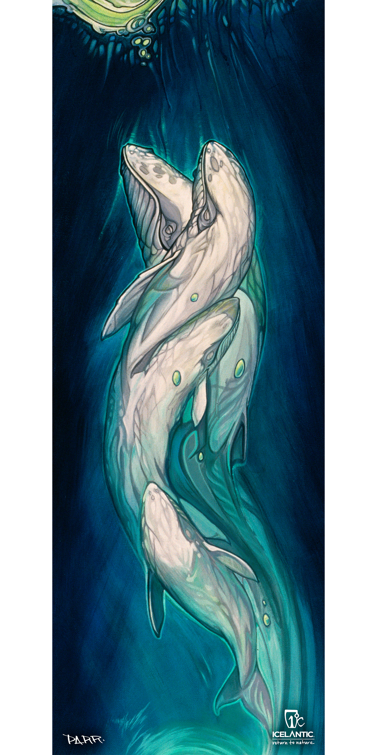 07/08 Shaman Fine Art Print