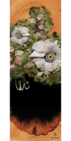 The 13/14 Keeper Fine Art Print by Icelantic features two bird faces artfully composed from white stones, bright yellow eyes, bark, and green moss—each bird’s beak and feathers crafted from natural materials. Set against a rustic tree wood background, the iconic Icelantic logo is displayed at the bottom. Available as a wrapped canvas or fine art print, this striking piece captures every detail in stunning clarity.