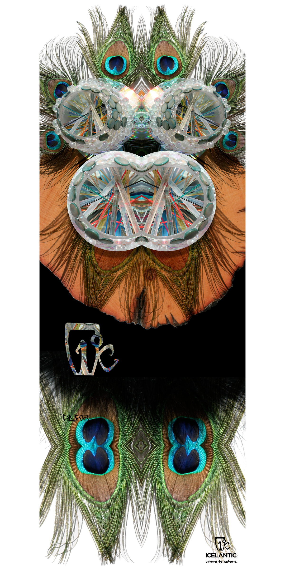 13/14 Oracle Fine Art Print