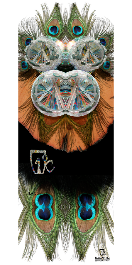 The 13/14 Oracle Fine Art Print by Icelantic showcases a vibrant composition of peacock feathers, crystal-inspired forms, and shimmering iridescent patterns arranged in a symmetrical, mask-like design on a crisp white background, with the Icelantic logo featured at the bottom. Available as a wrapped canvas or giclée print, this striking artwork infuses any space with bold energy and fine art quality.